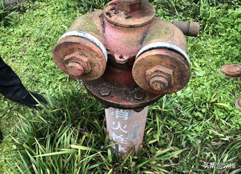 小钺的邻居爆料视频,小钺生活片段曝光，真实生活引热议