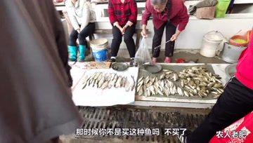 农人老肥最新爆料,农业领域最新动态大曝光！